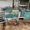 Racewell Super Sheep Handler