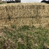 Clover & Rye Hay 550kg 8x4x3 Bales
