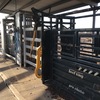600 head Cattle Yards E.O.I for sale & removal
