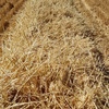 700 7.6ME Barley Straw 540kg 8x4x3HD Bales