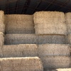 Clover and Rye Hay 8x4x3 HD Bales
