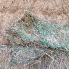 40mt Vetch Hay 600kg 8x4x3 Bales