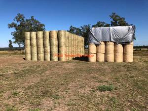 SSS Sorghum Hay Rolls