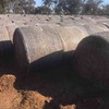 250 Rolls of 2016 Vetch Hay 