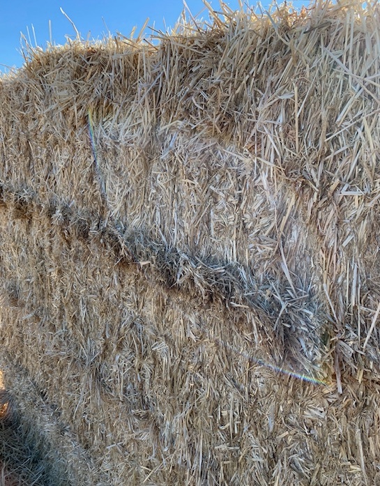 Barley Straw Ex Farm 582kg Bales