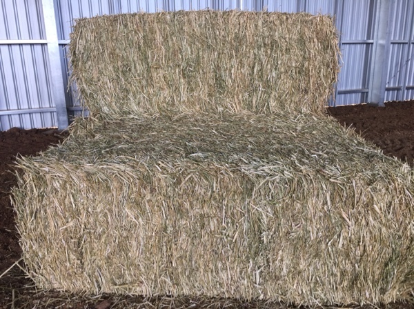 Canola Hay 1 B Double Load AVAILABLE NOW