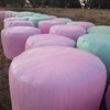 Lucerne silage