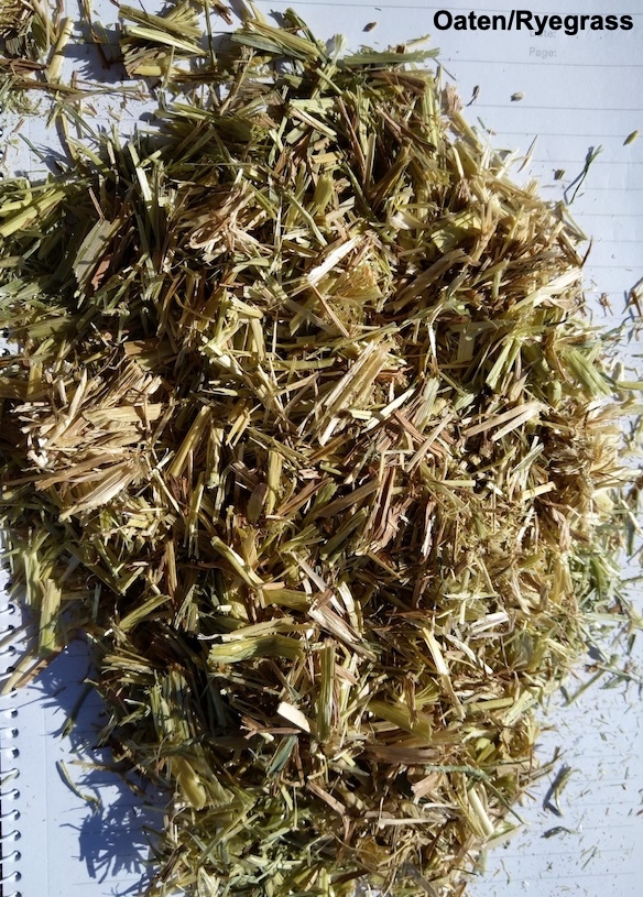 190mt Oaten & Ryegrass Hay (635kg 8x4x3 Bales)