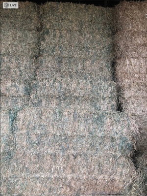 Wheaten Hay 4 B Double loads