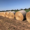 60 x Lucerne Hay 410kg 5x4 Bales