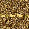 Shiroie millet 