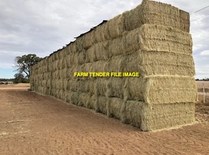 84 x Teff Straw 8x4x3 Bales