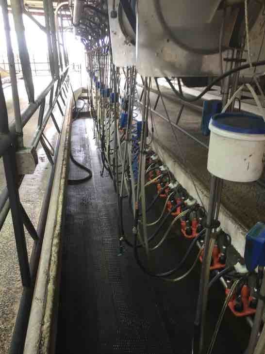 38 a Side Dairy Plant for Sale