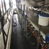 38 a Side Dairy Plant for Sale