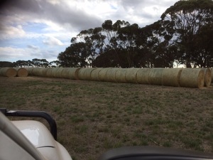 Under Auction - 200 x 5x4 Rolls of Pasture Hay - Sold By The Ton -
