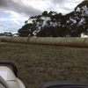 Under Auction - 200 x 5x4 Rolls of Pasture Hay - Sold By The Ton -