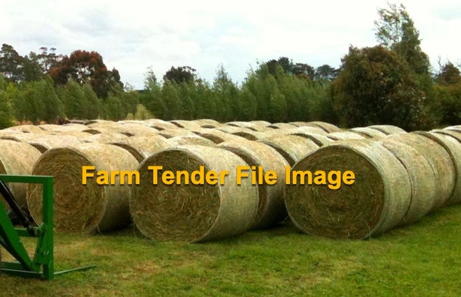 Grassy Lucerne Rolls