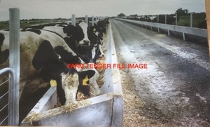 Wanted Bortone Concrete Feedbunks Wanted and or Moulds