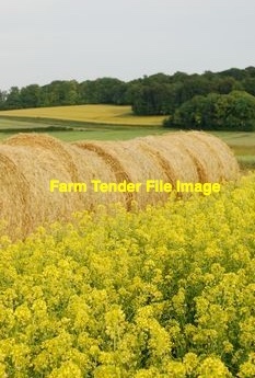 100mt Canola Hay 5x4 Rounds