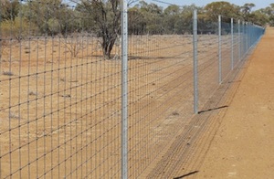 Fencing Contractor Wanted- Exclusion Fencing