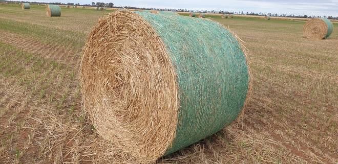 2020 Oaten Hay 5x4 Rolls