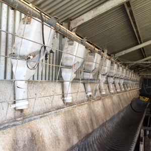 Cablevey Feed System