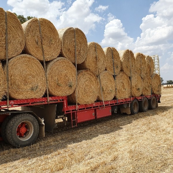 Oaten Hay 450-500kg 5x4 Rolls
