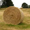 Round Hay Bales