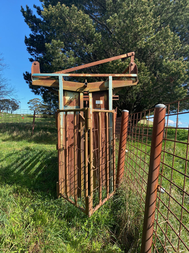 Warwick Cattle Crush & Ruddweigh scales