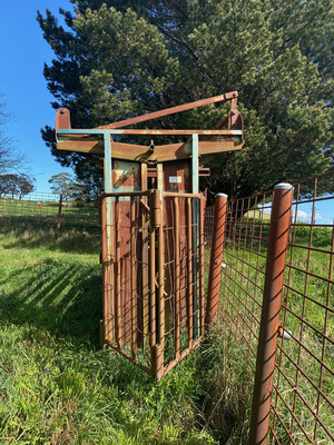 Warwick Cattle Crush & Ruddweigh scales