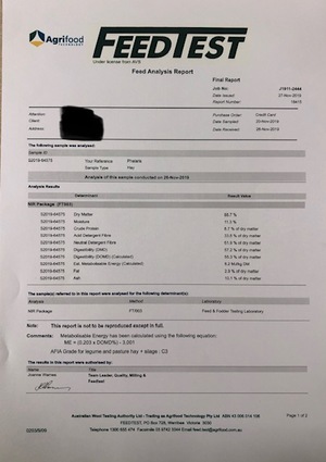 Ryegrass & Balansa medium squares-  94 - 3x3x8 square bales weighing 380-400 kgs - Sold By The Ton