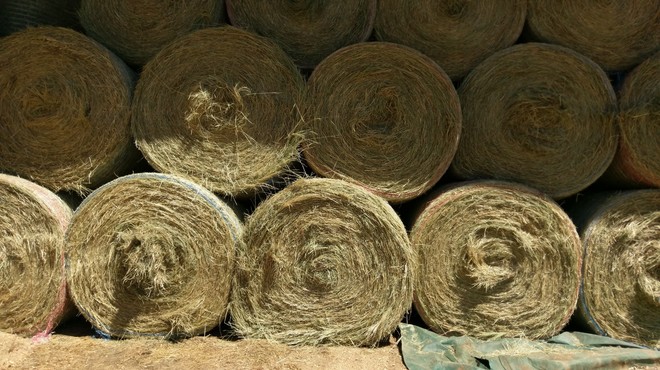 140 x Lucerne 5x4x Round Bales