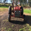 International 434 Tractor