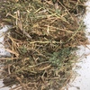 Vetch hay 