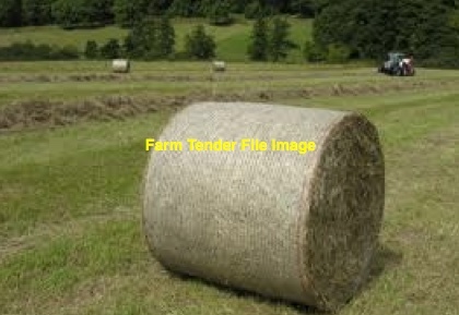 50 x Pasture Hay Rolls