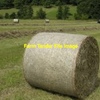 50 x Pasture Hay Rolls
