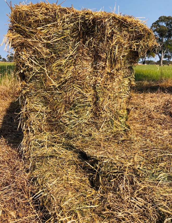 120mt Rye Grass Hay 600-650kg 8x4x3 Bales
