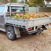 2010 Toyota SR Hilux 4x4 Dual Cab Ute For Sale
