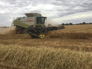 Grain Harvesting discounted by your straw crop