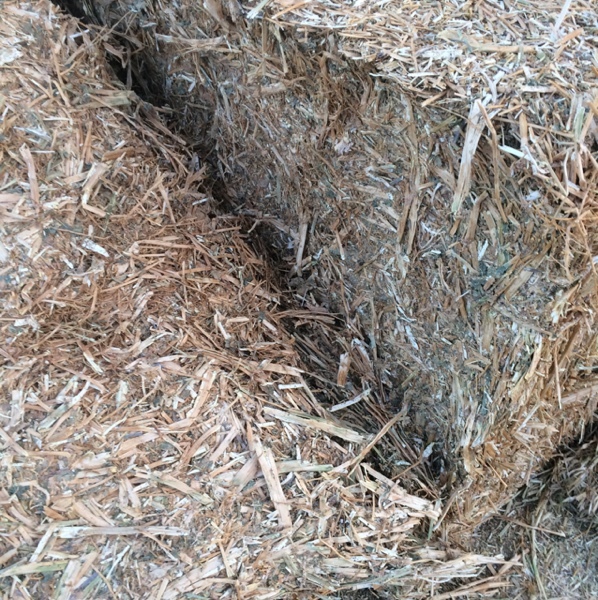Canola Hay 650kg 8x4x3 Bales