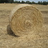 Oaten Hay