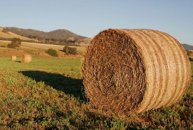 Round bales (type of hay neg)