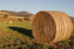 Round bales (type of hay neg)