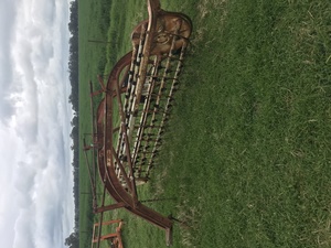Hay rake