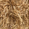 Wheat Straw
