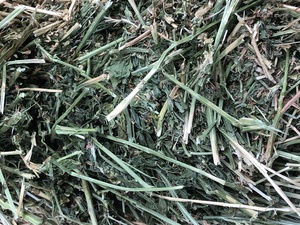 1st Cut Lucerne Hay For Sale 8x4x3 Bales