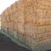 Barley Straw 8x4x3 Bales