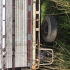 International Acco 1900 Cattle truck