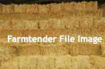 1000 Small Squares of Wheaten Straw and Oaten Straw