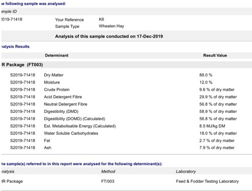 Wheaten Hay 600 kg squares